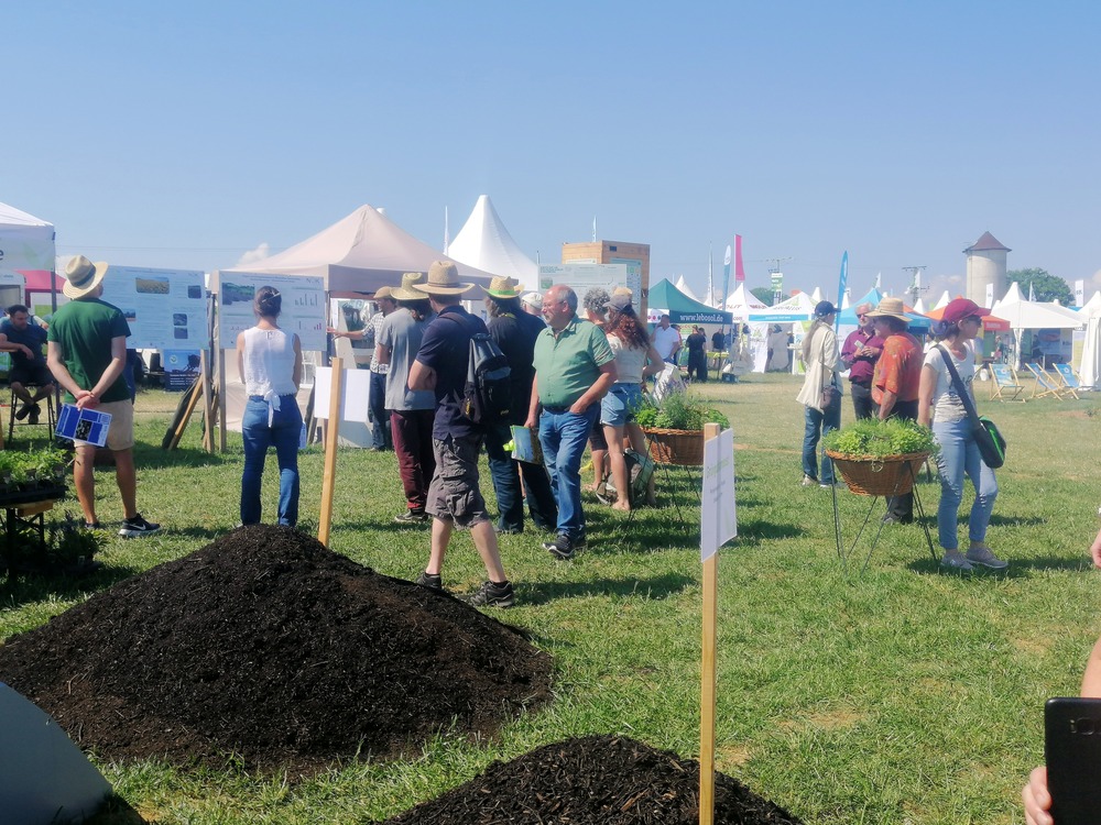 Kompost-Traktor auf Feld grüner Traktor mit Kompost-Anhänger auf gelbem Feld