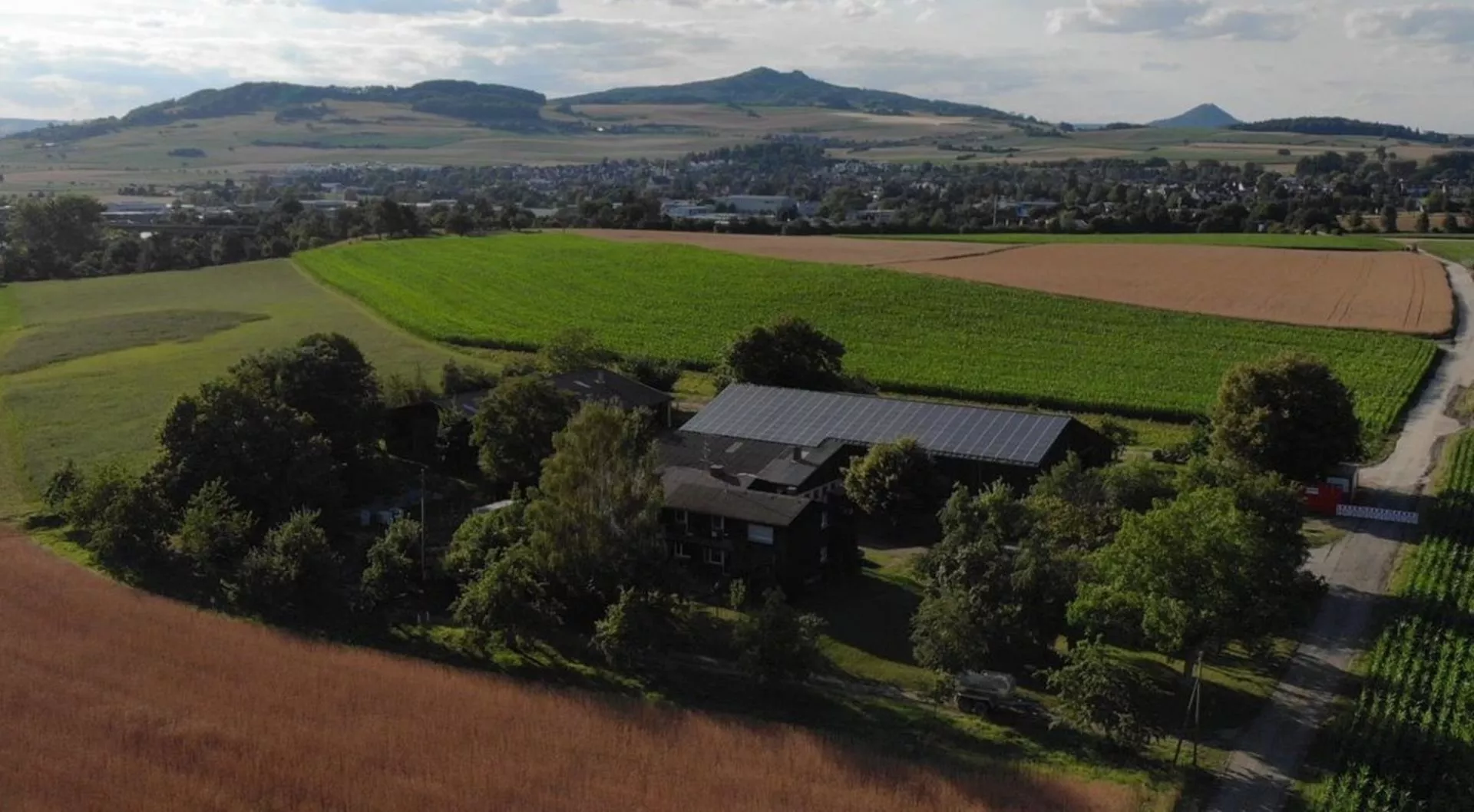 Wie lässt sich die Bodenfruchtbarkeit im ökologischen Maisanbau langfristig sichern?