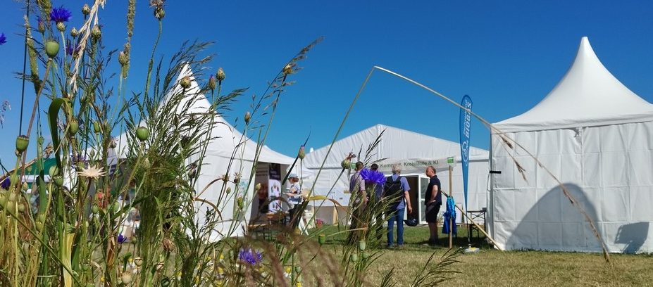 Dieses Bild hat ein leeres Alt-Attribut. Der Dateiname ist OeFT-2025-Forum-Kompost--e1750943846923.jpg