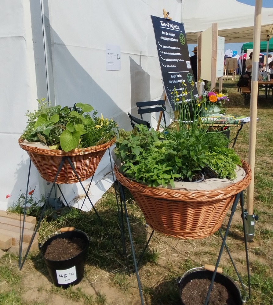 Dieses Bild hat ein leeres Alt-Attribut. Der Dateiname ist OeFT-2025-Kraeutertoepfe.jpg