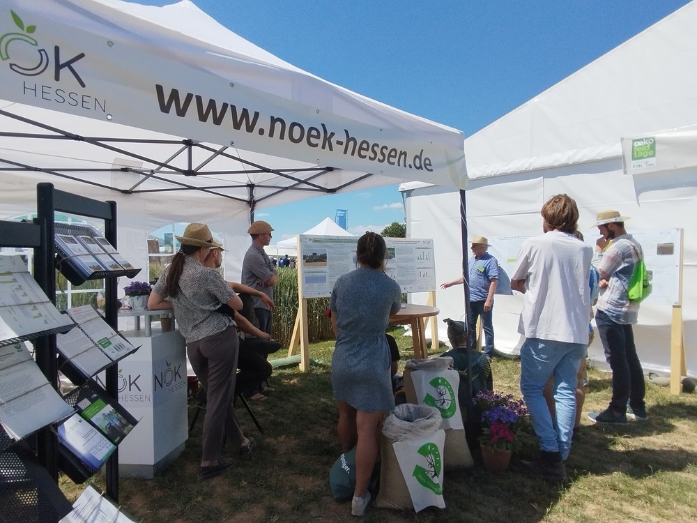 Dieses Bild hat ein leeres Alt-Attribut. Der Dateiname ist OeFT-2025-Postersession-Ralf-Gottschall.jpg