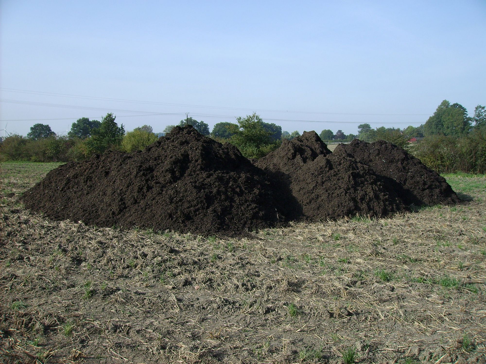 Kompost-Traktor auf Feld grüner Traktor mit Kompost-Anhänger auf gelbem Feld